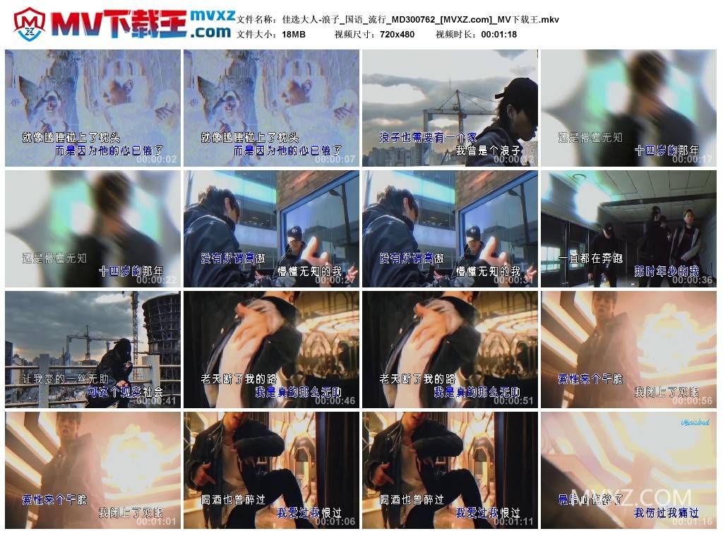 佳选大人-浪子_国语_流行_MD300762